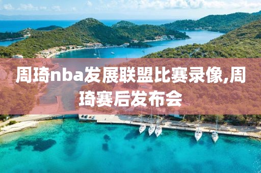 周琦nba发展联盟比赛录像,周琦赛后发布会