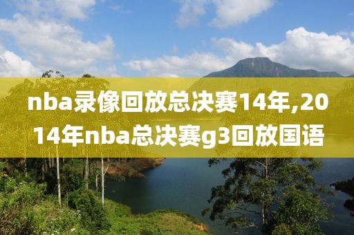 nba录像回放总决赛14年,2014年nba总决赛g3回放国语