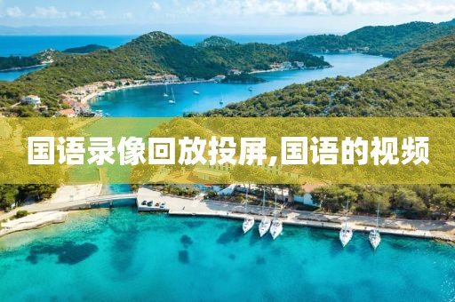 国语录像回放投屏,国语的视频