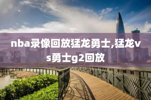 nba录像回放猛龙勇士,猛龙vs勇士g2回放