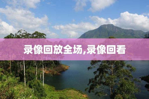录像回放全场,录像回看