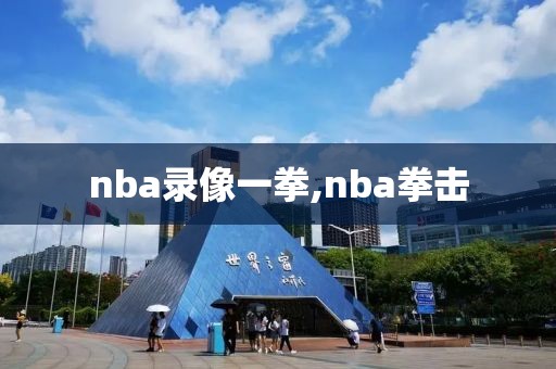 nba录像一拳,nba拳击