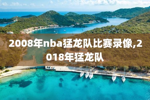 2008年nba猛龙队比赛录像,2018年猛龙队