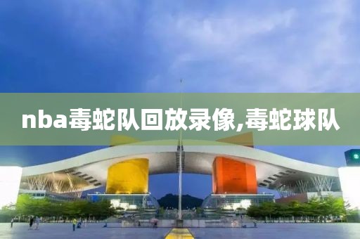 nba毒蛇队回放录像,毒蛇球队