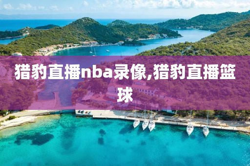 猎豹直播nba录像,猎豹直播篮球