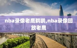 nba录像老鹰鹈鹕,nba录像回放老鹰