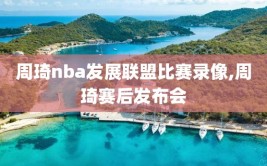 周琦nba发展联盟比赛录像,周琦赛后发布会