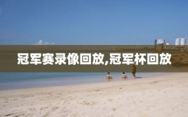 冠军赛录像回放,冠军杯回放