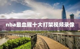 nba最血腥十大打架视频录像