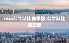 nba公牛队比赛录像,公牛队比赛回放
