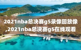 2021nba总决赛g5录像回放像,2021nba总决赛g5在线观看