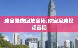 球宝录像回放全场,球宝足球视频直播
