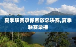 夏季联赛录像回放总决赛,夏季联赛录播