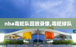 nba毒蛇队回放录像,毒蛇球队