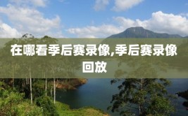 在哪看季后赛录像,季后赛录像回放