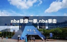nba录像一拳,nba拳击