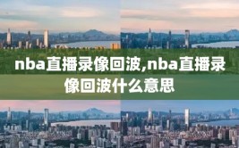 nba直播录像回波,nba直播录像回波什么意思
