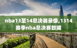 nba13至14总决赛录像,1314赛季nba总决赛数据