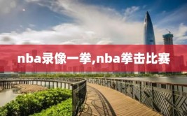 nba录像一拳,nba拳击比赛