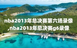 nba2013年总决赛第六场录像,nba2013年总决赛g6录像