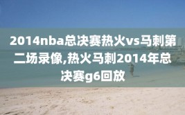 2014nba总决赛热火vs马刺第二场录像,热火马刺2014年总决赛g6回放