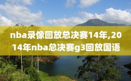 nba录像回放总决赛14年,2014年nba总决赛g3回放国语