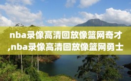 nba录像高清回放像篮网奇才,nba录像高清回放像篮网勇士