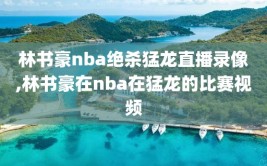 林书豪nba绝杀猛龙直播录像,林书豪在nba在猛龙的比赛视频