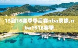 15到16赛季季后赛nba录像,nba1516赛季