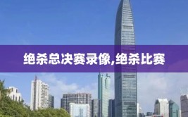 绝杀总决赛录像,绝杀比赛