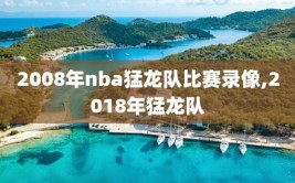 2008年nba猛龙队比赛录像,2018年猛龙队