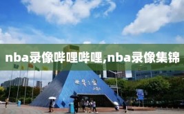 nba录像哔哩哔哩,nba录像集锦