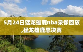 5月24日猛龙雄鹿nba录像回放,猛龙雄鹿总决赛