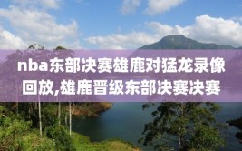 nba东部决赛雄鹿对猛龙录像回放,雄鹿晋级东部决赛决赛