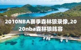 2010NBA赛季森林狼录像,2020nba森林狼阵容