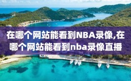 在哪个网站能看到NBA录像,在哪个网站能看到nba录像直播