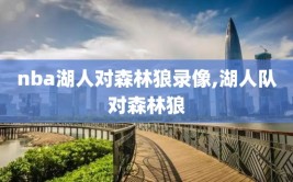 nba湖人对森林狼录像,湖人队对森林狼